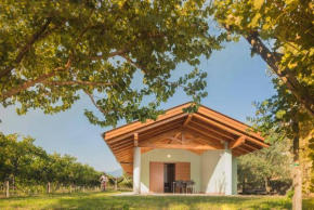 Гостиница Agriturismo Sarca House  Дро